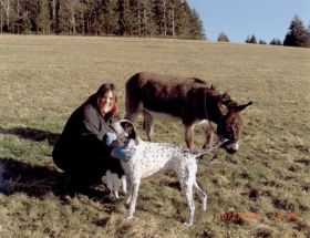 Isabelle_Melli_Esel-Max.jpg