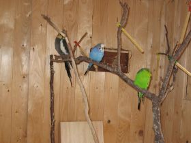 IMG_0627.JPG
