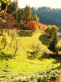 Herbst.JPG